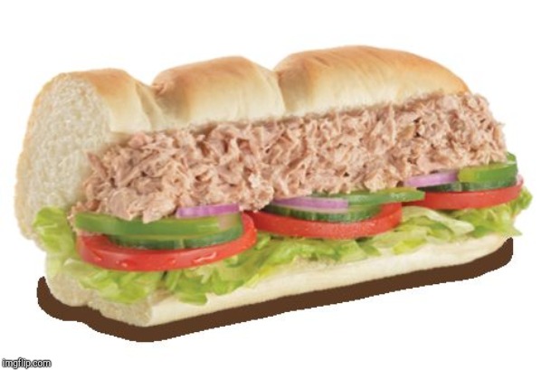 Subway 6 inch | image tagged in subway 6 inch | made w/ Imgflip meme maker