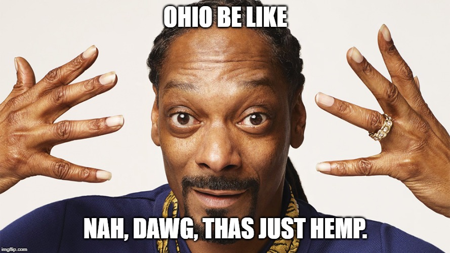  OHIO BE LIKE; NAH, DAWG, THAS JUST HEMP. | image tagged in snoop dogg,ohio,legal weed,cannabis | made w/ Imgflip meme maker