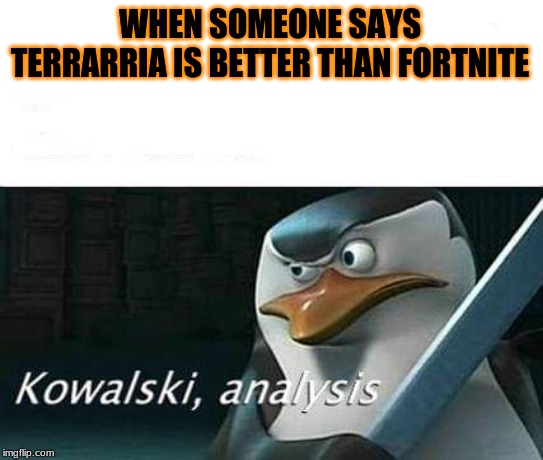 kowalski, analysis | WHEN SOMEONE SAYS TERRARRIA IS BETTER THAN FORTNITE | image tagged in kowalski analysis | made w/ Imgflip meme maker
