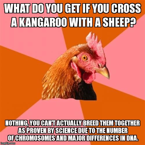 Anti Joke Chicken | image tagged in memes,anti joke chicken | made w/ Imgflip meme maker