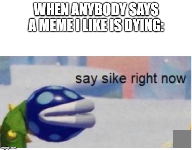 A part of equality is probably accepting someone for their interests.

And no. I don't believe in dead memes. | WHEN ANYBODY SAYS A MEME I LIKE IS DYING: | image tagged in say sike right now,dead memes week,memes,memes about memes,memes about memeing | made w/ Imgflip meme maker