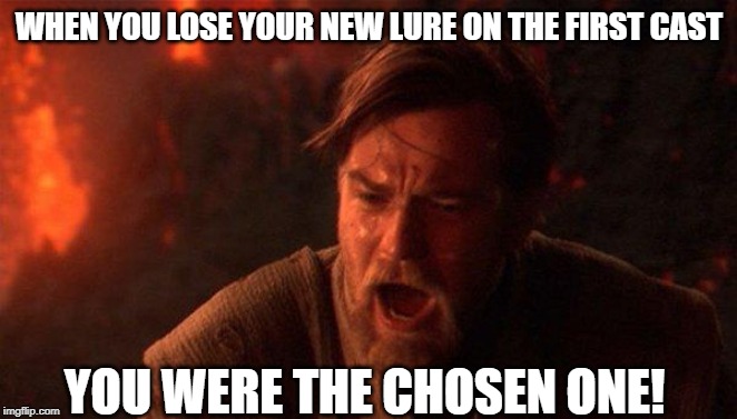 Losing new lure | WHEN YOU LOSE YOUR NEW LURE ON THE FIRST CAST; YOU WERE THE CHOSEN ONE! | image tagged in memes,you were the chosen one star wars,fishing,gone fishing,outdoors | made w/ Imgflip meme maker