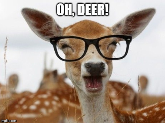 Deer glasses | OH, DEER! | image tagged in deer glasses | made w/ Imgflip meme maker