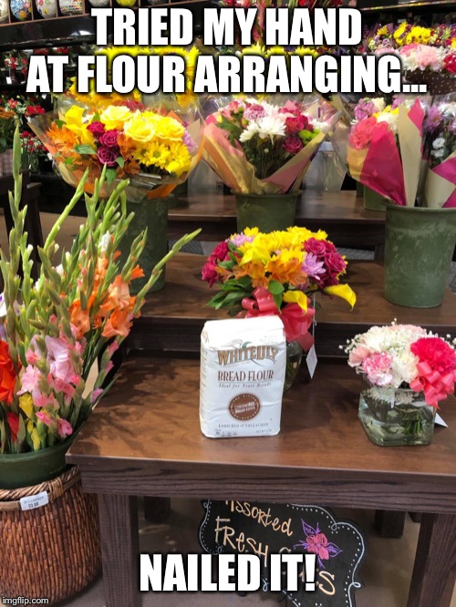 TRIED MY HAND AT FLOUR ARRANGING... NAILED IT! | image tagged in flowers,puns,gluten | made w/ Imgflip meme maker