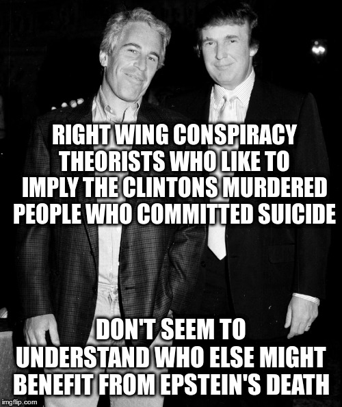 He who lives in a glass house shouldn't throw stones? | RIGHT WING CONSPIRACY THEORISTS WHO LIKE TO IMPLY THE CLINTONS MURDERED PEOPLE WHO COMMITTED SUICIDE; DON'T SEEM TO UNDERSTAND WHO ELSE MIGHT BENEFIT FROM EPSTEIN'S DEATH | image tagged in trump,humor,jeffrey epstein,clintons | made w/ Imgflip meme maker
