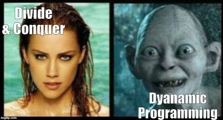 Programming Paradigms | Divide & Conquer; Dyanamic Programming | image tagged in divide and conquer,dyanamic,programming,coding,algorithms | made w/ Imgflip meme maker