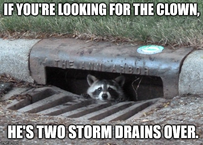 IF YOU'RE LOOKING FOR THE CLOWN, HE'S TWO STORM DRAINS OVER. | image tagged in it,raccoon | made w/ Imgflip meme maker