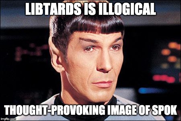 owned | LIBTARDS IS ILLOGICAL; THOUGHT-PROVOKING IMAGE OF SPOK | image tagged in condescending spock | made w/ Imgflip meme maker