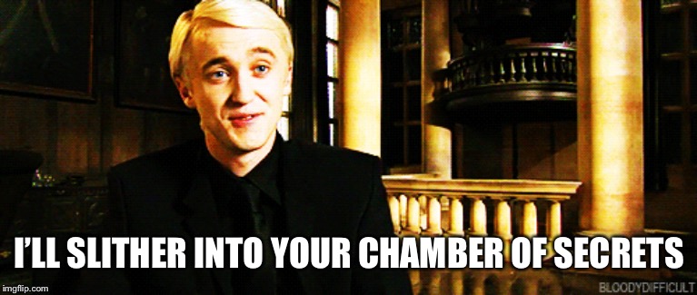I’LL SLITHER INTO YOUR CHAMBER OF SECRETS | image tagged in draco malfoy | made w/ Imgflip meme maker