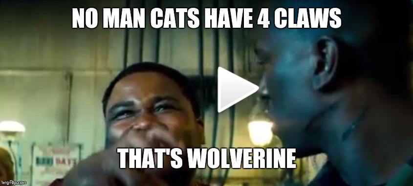 NO MAN CATS HAVE 4 CLAWS THAT'S WOLVERINE | made w/ Imgflip meme maker