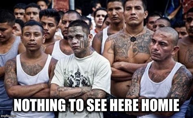 MS13 Family Pic | NOTHING TO SEE HERE HOMIE | image tagged in ms13 family pic | made w/ Imgflip meme maker