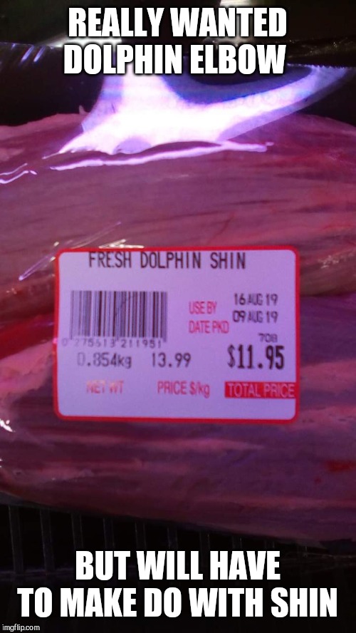 Tasty dolphin | REALLY WANTED DOLPHIN ELBOW; BUT WILL HAVE TO MAKE DO WITH SHIN | image tagged in tasty dolphin | made w/ Imgflip meme maker