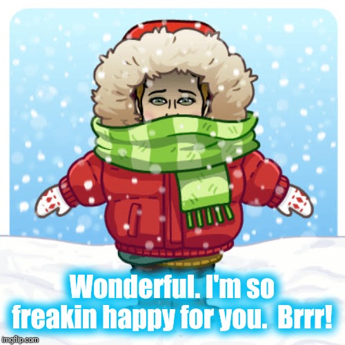 Brrr | Wonderful. I'm so freakin happy for you.  Brrr! | image tagged in brrr | made w/ Imgflip meme maker