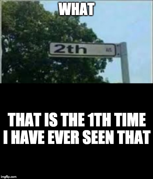 WHAT; THAT IS THE 1TH TIME I HAVE EVER SEEN THAT | image tagged in fun | made w/ Imgflip meme maker