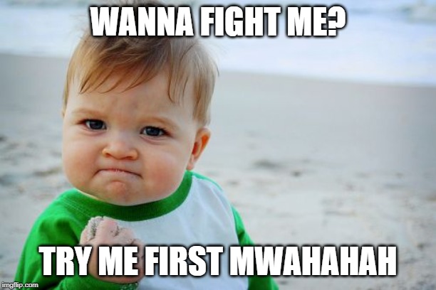 Success Kid Original Meme | WANNA FIGHT ME? TRY ME FIRST MWAHAHAH | image tagged in memes,success kid original | made w/ Imgflip meme maker
