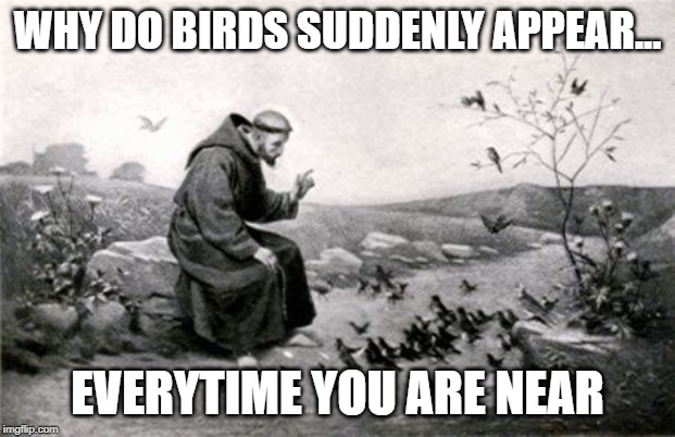 St. Francis and the Birds | WHY DO BIRDS SUDDENLY APPEAR... EVERYTIME YOU ARE NEAR | image tagged in st francis and the birds | made w/ Imgflip meme maker