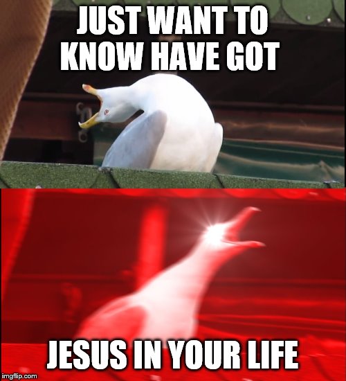 Screaming bird | JUST WANT TO KNOW HAVE GOT JESUS IN YOUR LIFE | image tagged in screaming bird | made w/ Imgflip meme maker