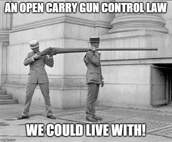 AN OPEN CARRY GUN CONTROL LAW; WE COULD LIVE WITH! | image tagged in gun control | made w/ Imgflip meme maker