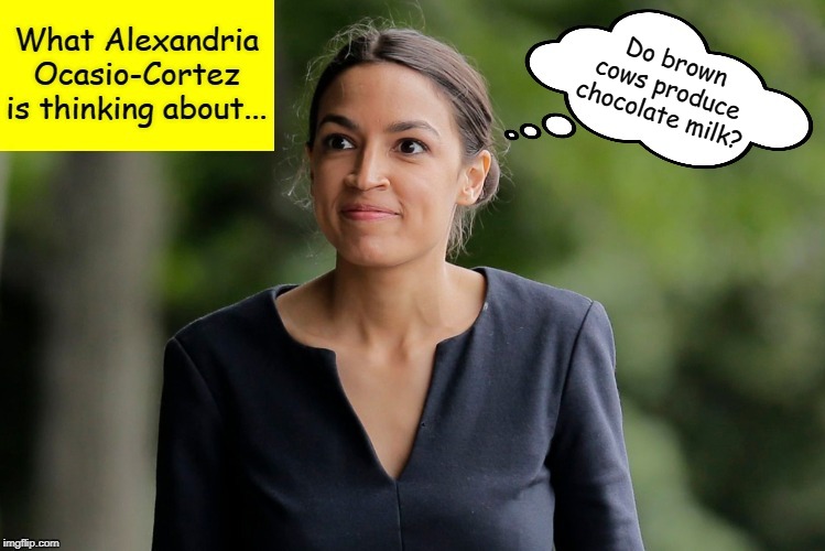 What Alexandria Ocasio-Cortez is thinking about... | Do brown cows produce chocolate milk? | image tagged in what alexandria ocasio-cortez is thinking about,aoc,alexandria ocasio-cortez,crazy alexandria ocasio-cortez,memes | made w/ Imgflip meme maker