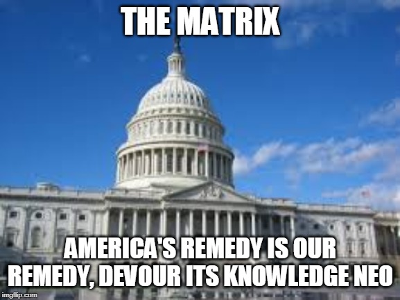 Stuck in the Matrix | THE MATRIX; AMERICA'S REMEDY IS OUR REMEDY, DEVOUR ITS KNOWLEDGE NEO | image tagged in knowledge is power | made w/ Imgflip meme maker