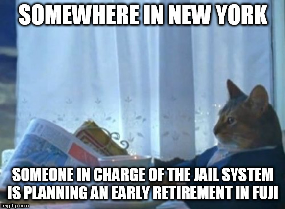I Should Buy A Boat Cat Meme | SOMEWHERE IN NEW YORK; SOMEONE IN CHARGE OF THE JAIL SYSTEM IS PLANNING AN EARLY RETIREMENT IN FUJI | image tagged in memes,i should buy a boat cat | made w/ Imgflip meme maker