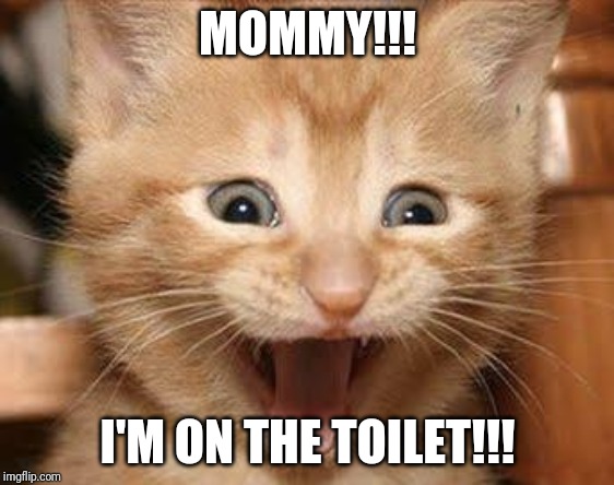 Excited Cat |  MOMMY!!! I'M ON THE TOILET!!! | image tagged in memes,excited cat | made w/ Imgflip meme maker