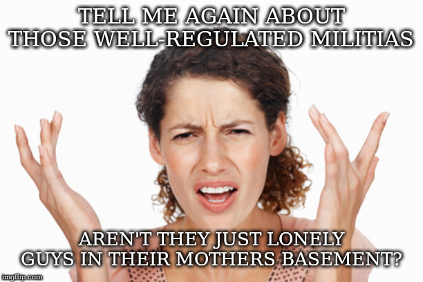 Indignant | TELL ME AGAIN ABOUT THOSE WELL-REGULATED MILITIAS; AREN'T THEY JUST LONELY GUYS IN THEIR MOTHERS BASEMENT? | image tagged in indignant | made w/ Imgflip meme maker