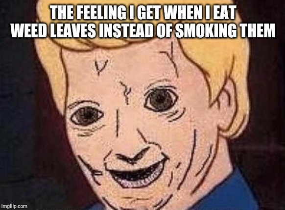 Shaggy this isnt weed fred scooby doo | THE FEELING I GET WHEN I EAT WEED LEAVES INSTEAD OF SMOKING THEM | image tagged in shaggy this isnt weed fred scooby doo | made w/ Imgflip meme maker