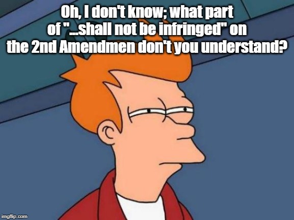 Futurama Fry Meme | Oh, I don't know; what part of "...shall not be infringed" on the 2nd Amendmen don't you understand? | image tagged in memes,futurama fry | made w/ Imgflip meme maker