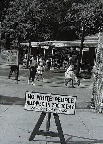 Dats racist Blank Meme Template