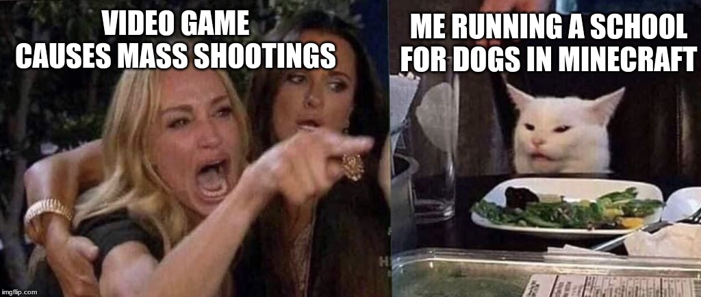 woman yelling at cat | ME RUNNING A SCHOOL FOR DOGS IN MINECRAFT; VIDEO GAME CAUSES MASS SHOOTINGS | image tagged in woman yelling at cat | made w/ Imgflip meme maker