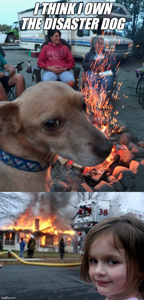 I THINK I OWN THE DISASTER DOG | image tagged in memes,disaster girl | made w/ Imgflip meme maker