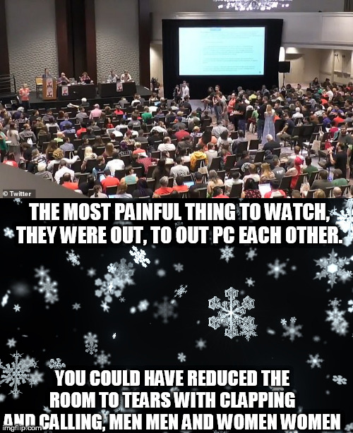 THE MOST PAINFUL THING TO WATCH, THEY WERE OUT, TO OUT PC EACH OTHER. YOU COULD HAVE REDUCED THE ROOM TO TEARS WITH CLAPPING AND CALLING, MEN MEN AND WOMEN WOMEN | image tagged in best moments of dsa national convention 2019 | made w/ Imgflip meme maker