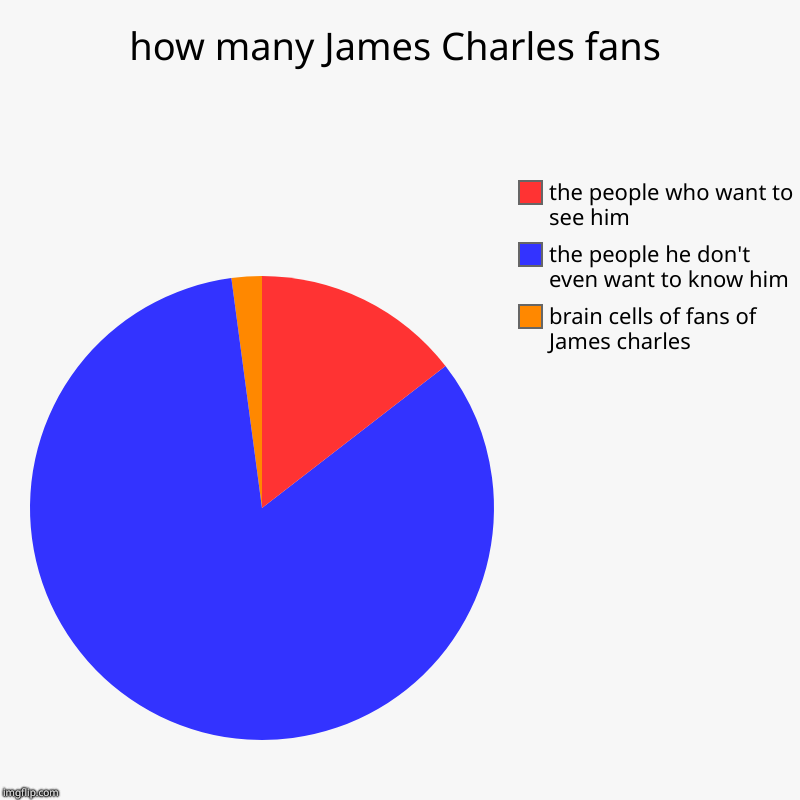 how many James Charles fans | brain cells of fans of James charles, the people he don't even want to know him, the people who want to see hi | image tagged in charts,pie charts | made w/ Imgflip chart maker