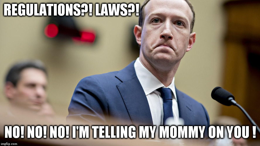The Zuckybot about to malfunction! | REGULATIONS?! LAWS?! NO! NO! NO! I'M TELLING MY MOMMY ON YOU ! | image tagged in zuckerberg,sad | made w/ Imgflip meme maker