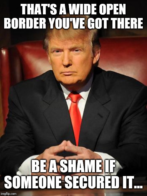 Serious Trump | THAT'S A WIDE OPEN BORDER YOU'VE GOT THERE; BE A SHAME IF SOMEONE SECURED IT... | image tagged in serious trump | made w/ Imgflip meme maker