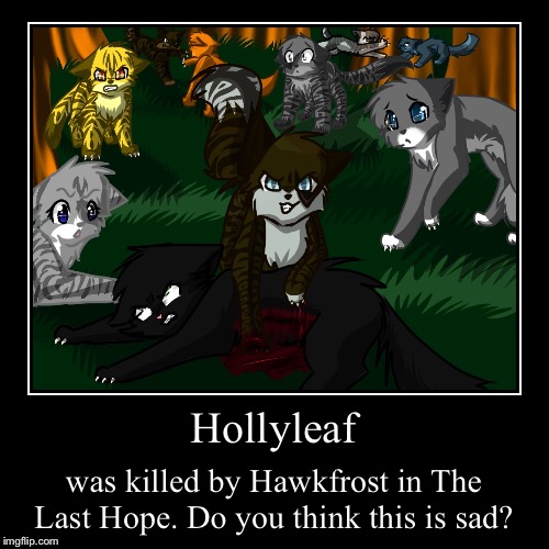 Hollyleaf’s Death: Do You Think This is Sad? | image tagged in funny,demotivationals,hollyleaf,death,warrior cats | made w/ Imgflip demotivational maker