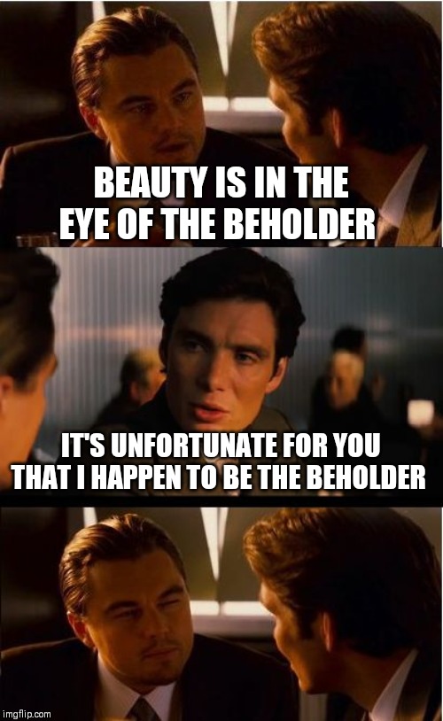 Inception Meme | BEAUTY IS IN THE EYE OF THE BEHOLDER; IT'S UNFORTUNATE FOR YOU THAT I HAPPEN TO BE THE BEHOLDER | image tagged in memes,inception | made w/ Imgflip meme maker