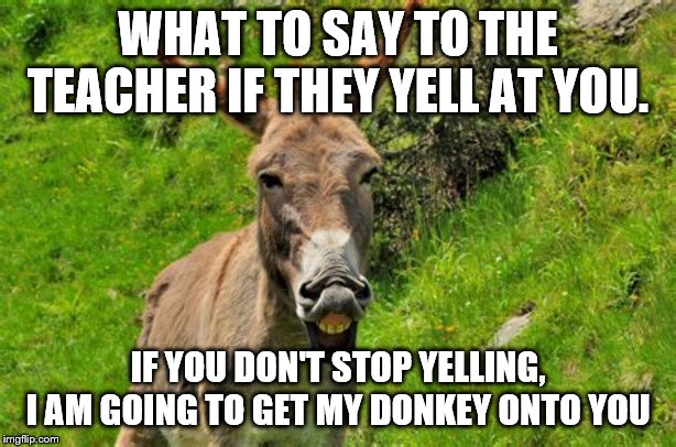Ways to Deal with Teachers #1 | WHAT TO SAY TO THE TEACHER IF THEY YELL AT YOU. IF YOU DON'T STOP YELLING, I AM GOING TO GET MY DONKEY ONTO YOU | image tagged in funny,funny memes,memes,animals,bad luck brian,one does not simply | made w/ Imgflip meme maker