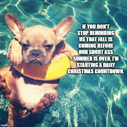 Summer is here dog pug | IF YOU DON'T STOP REMINDING US THAT FALL IS COMING BEFORE OUR SHORT ASS SUMMER IS OVER, I'M STARTING A DAILY CHRISTMAS COUNTDOWN. | image tagged in summer is here dog pug | made w/ Imgflip meme maker