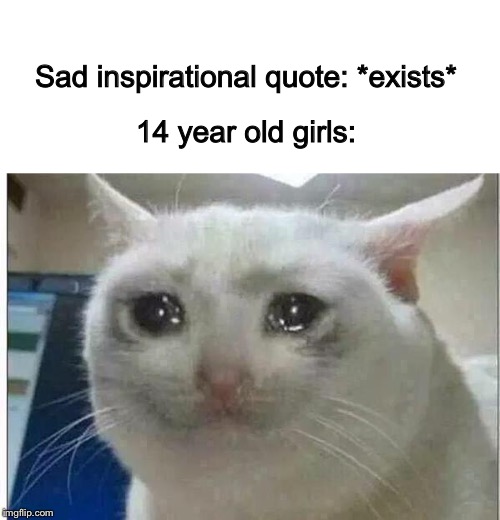crying cat | Sad inspirational quote: *exists*; 14 year old girls: | image tagged in crying cat | made w/ Imgflip meme maker