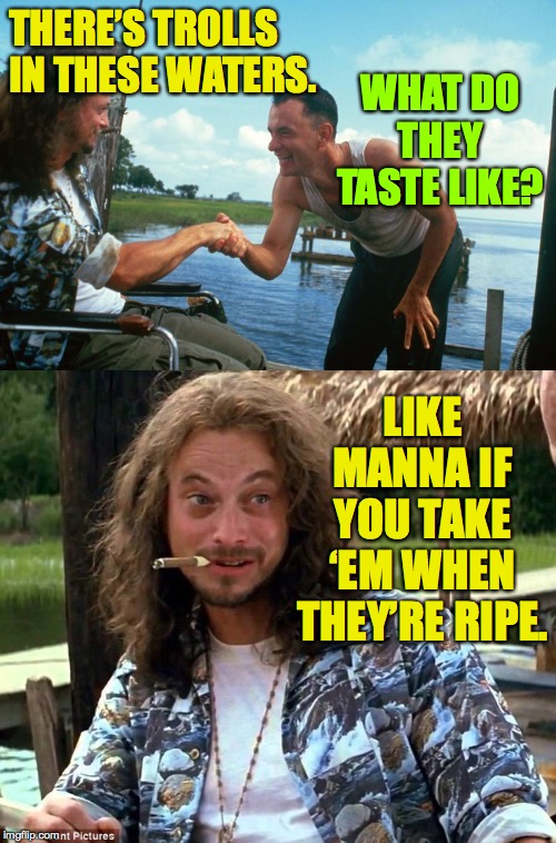 Lieutenant Dan, Troll Hunter  ( : | THERE’S TROLLS IN THESE WATERS. WHAT DO THEY TASTE LIKE? LIKE MANNA IF YOU TAKE ‘EM WHEN THEY’RE RIPE. | image tagged in lt lieutenant dan forrest gump gary sinise,lieutenant dan,memes,trolls | made w/ Imgflip meme maker