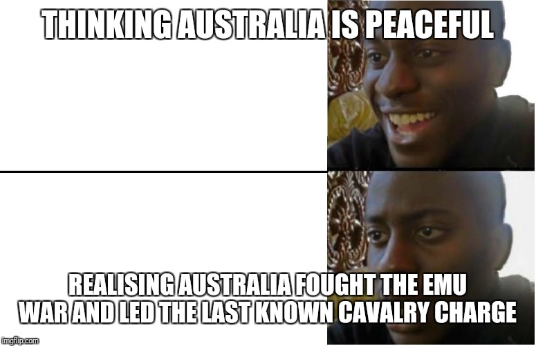 Disappointed Black Guy | THINKING AUSTRALIA IS PEACEFUL; REALISING AUSTRALIA FOUGHT THE EMU WAR AND LED THE LAST KNOWN CAVALRY CHARGE | image tagged in disappointed black guy | made w/ Imgflip meme maker