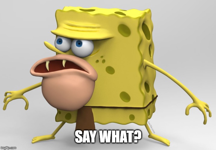 spongegar 3-D | SAY WHAT? | image tagged in spongegar 3-d | made w/ Imgflip meme maker