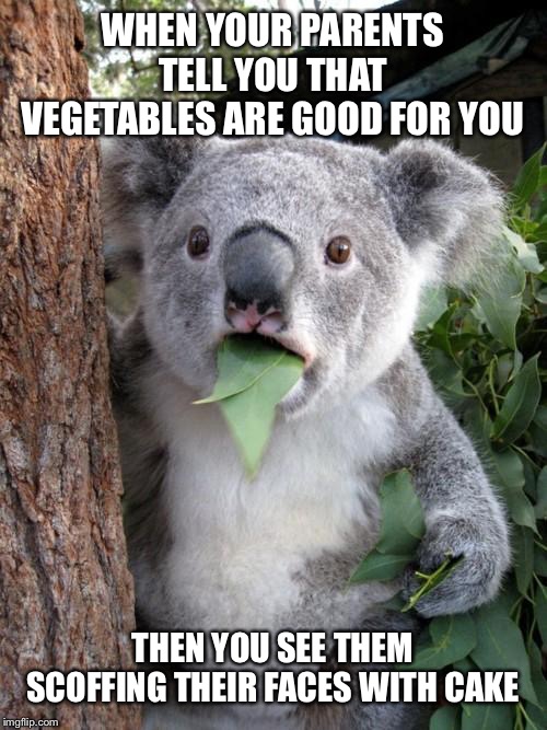 Surprised Koala Meme | WHEN YOUR PARENTS TELL YOU THAT VEGETABLES ARE GOOD FOR YOU; THEN YOU SEE THEM SCOFFING THEIR FACES WITH CAKE | image tagged in memes,surprised koala | made w/ Imgflip meme maker