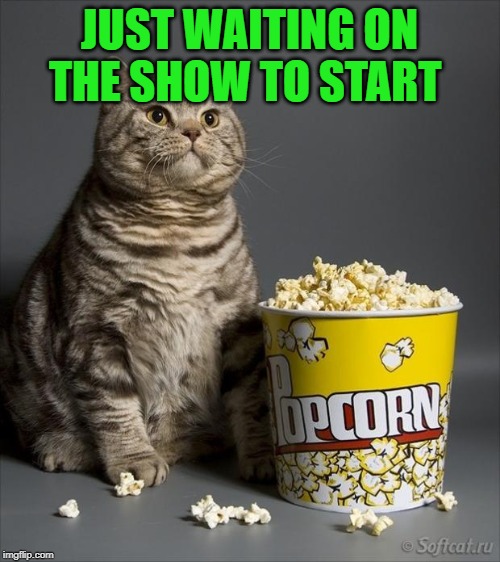 Cat eating popcorn | JUST WAITING ON THE SHOW TO START | image tagged in cat eating popcorn | made w/ Imgflip meme maker