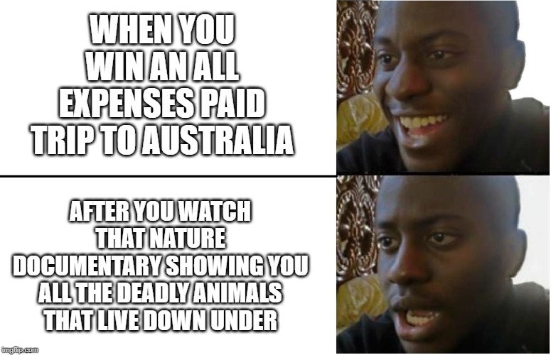 Aussie Aussie Aussie No No No | WHEN YOU WIN AN ALL EXPENSES PAID TRIP TO AUSTRALIA; AFTER YOU WATCH THAT NATURE DOCUMENTARY SHOWING YOU ALL THE DEADLY ANIMALS THAT LIVE DOWN UNDER | image tagged in disappointed black guy | made w/ Imgflip meme maker