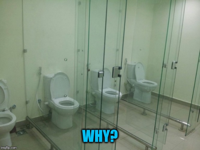 To see and be seen | WHY? | image tagged in toilet,transparency | made w/ Imgflip meme maker