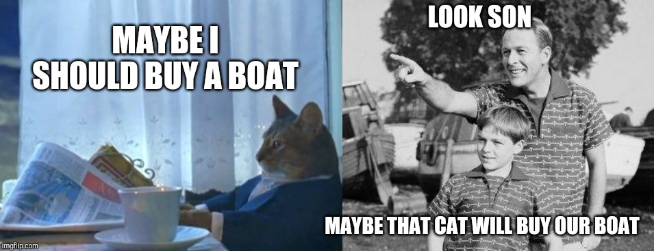 LOOK SON; MAYBE I SHOULD BUY A BOAT; MAYBE THAT CAT WILL BUY OUR BOAT | image tagged in memes,i should buy a boat cat,look son | made w/ Imgflip meme maker