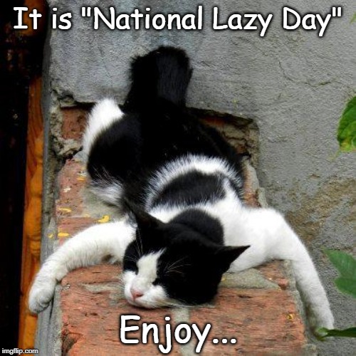 National Lazy Day... | It is "National Lazy Day"; Enjoy... | image tagged in lazy,day,enjoy | made w/ Imgflip meme maker